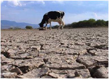 ¡Impacto del Fenómeno de La Niña en el Perú!