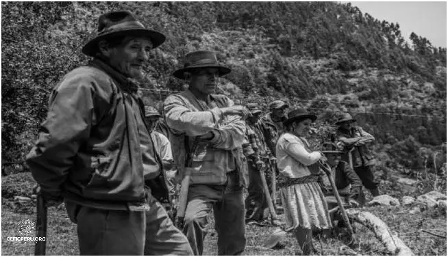 ¿Qué es la Reforma Agraria en el Perú? Descúbrelo