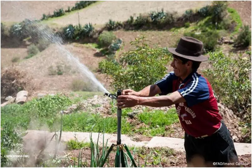 ¿Qué es la Reforma Agraria en el Perú? Descúbrelo